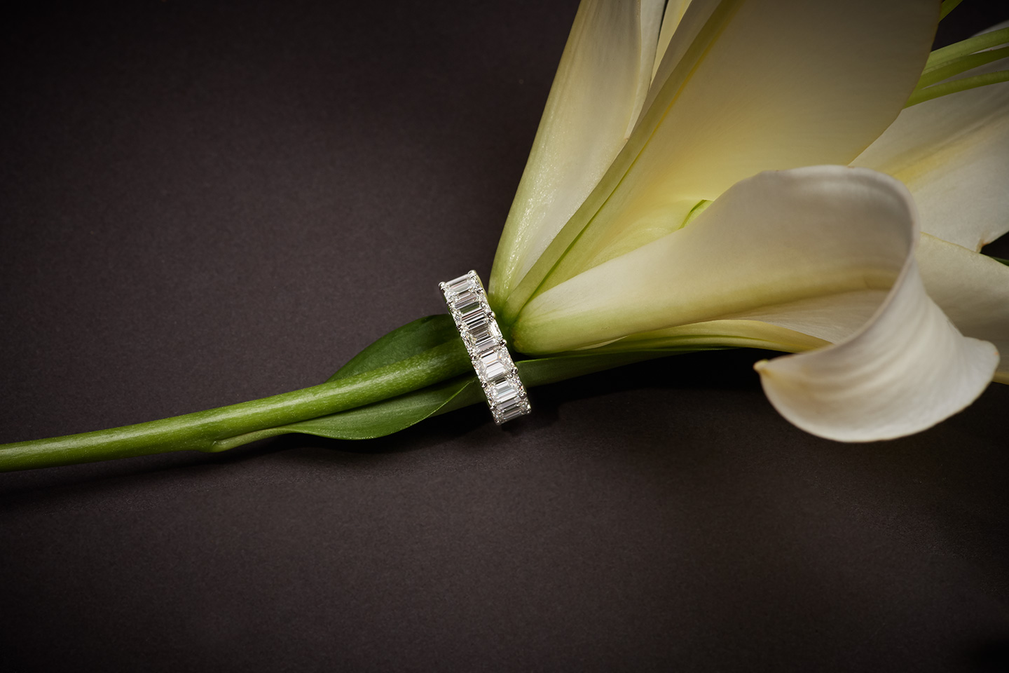 Fine jewelry Photography